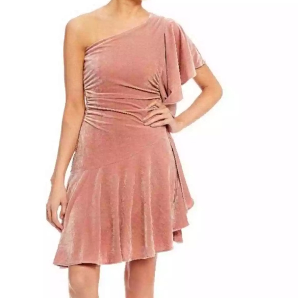 Gianni Bini Glitzy Daze One Shoulder Ruffle Pink Velveteen Dress Women’s L (NWT)